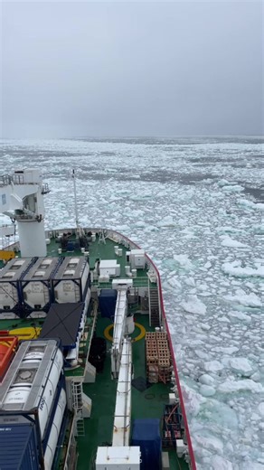 Journey to Antarctica: Penguins and Exploration 🇦🇶