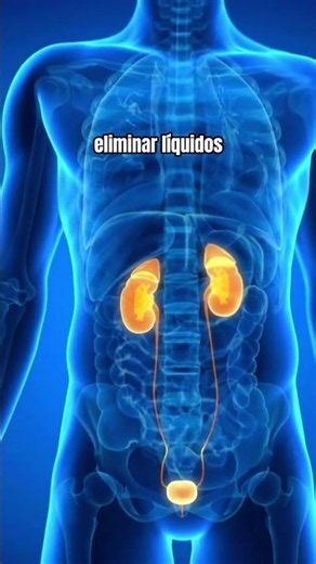 Beneficios de la COLA DE CABALLO🌿👌