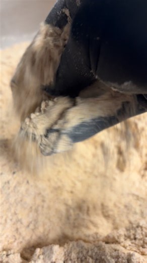 We want to address some comments surrounding our chicken being labeled as “burnt” We assure you the chicken is not burnt. Nor is our oil dirty. We use a seasoned breading, including spices like cayenne pepper and paprika, this gives our breading its orange hue. It can also make things breaded in it appear slightly darker on the outside but still perfectly cooked on the inside. So before passing judgement based off appearance come on down and enjoy a delicious order of chicken tenders! We look fo