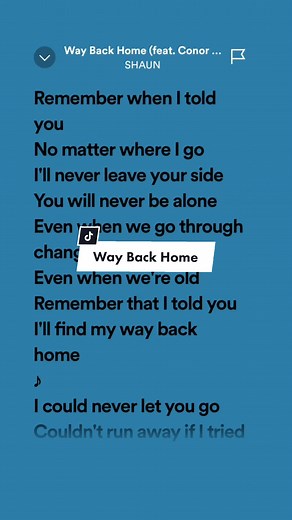 This Song!🥰#shaun #foryou #waybackhome #conormaynard #leohernandezlyrics_ #fypage #music #spotify #fyp #fypシ #songlyrics #trendingsong #viral #chill #aesthetic #tiktokph #korean