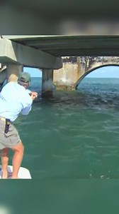 The episode that changed peoples lives. Battle of the Bridge was the BEST saltwater fishing show ever produced. Where were you when this episode aired on the Sunshine Network? | Addictive Fishing