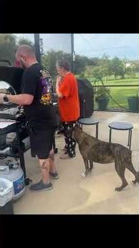 She passed naturally, on her own terms, in her bed with Duke & I 😭💔