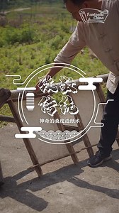 📜 In #Hetian, #Xinjiang, Mulberry Bark Paper boasts a history spanning millennia, earning it the title of the "living fossil" in papermaking. It journeyed along the ancient Silk Road, just like silk, touching Central Asia and Europe. 🌍✨ 🎥: Kuaishou #AncientCraft #SilkRoadLegacy #HandmadePaper #桑皮纸 | Fantastic China