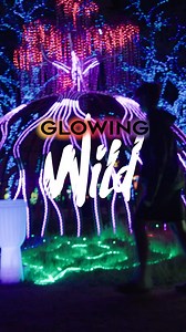 Wander through dazzling lantern displays with your family at Redding's iconic Sundial Bridge! Year of the Snake comes alive April 4-June 8. | Visit Redding