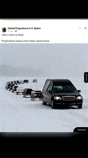 Polskie Memy #śmieszne #memy #humor