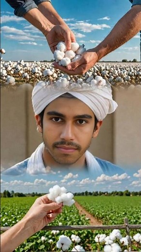 Unlock the Secrets of Cotton Farming: Tips for Higher Yields