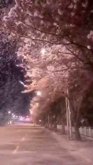 GM Everyone! ☀️Can I get a GM back? The @quipnetwork is conducting testnet mining that is not based on hashing.This is solving the Ising model problem... it is like a real optimization task where quantum systems already have the upper hand.That is not something that "might be possible in the future," but a fact that is already measurable.It feels more like contributing computing resources to actually important work rather than cryptocurrency mining.Yes, and https://t.co/wIBXVS37mQ just stays the