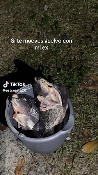 Domingo de Resurrección: Toco - Te Llamaré Suspiros, Vuelvo con mi ex