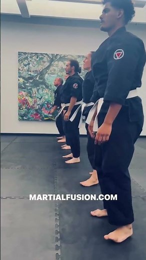 Aikido Martial Fusion Training Drills
