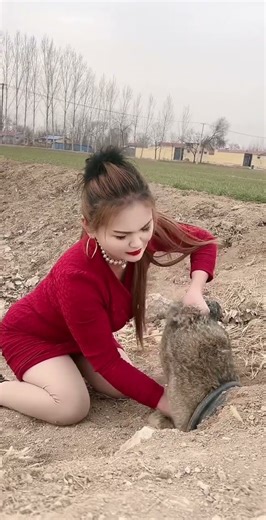 #ostriche eggs #funny #cute