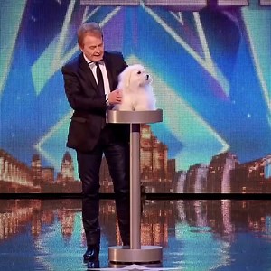 374K views · 5.3K reactions | The judges can barely watch | AGT Foryou Videos | Facebook