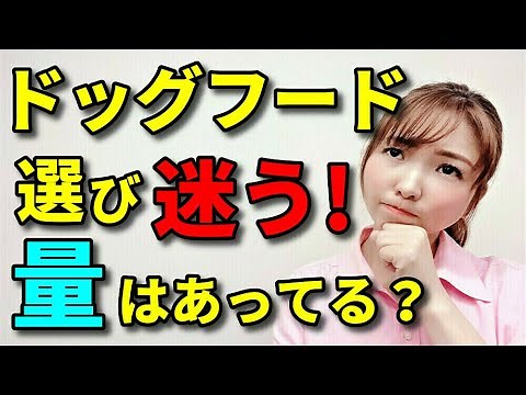【犬 ご飯】愛犬のご飯、ドッグフードは結局どこのがいいの？量はどれくらい与える？おやつっていつからあげていいの？新遠藤エマチャンネル【犬のしつけ＠横浜】