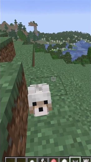 cute minecraft pls subscribe