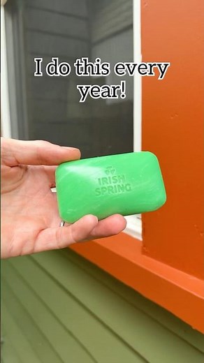 Rub strong scented soap like Irish Spring on window sill to deter bugs and rodents. #pestcontrol