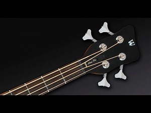 Warwick Alien Rockbass Dlx Acoustic Bass Demo by ManBass (Full Length)