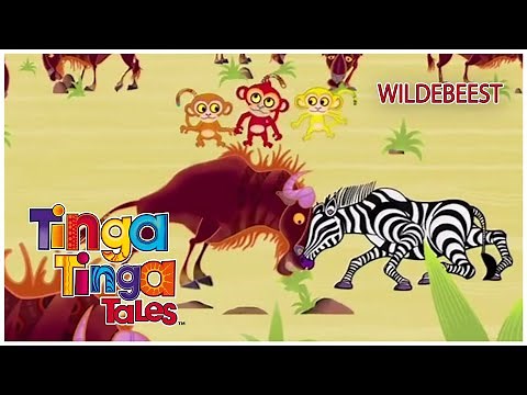 Why Wildebeest Stampede? | Tinga Tinga Tales Official | Full Episode