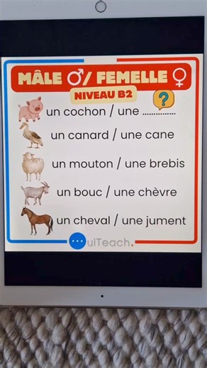 10K views · 227 reactions | Some names of male and female animals in French  | Learn French Vocabulary with Moh and Alain  #apprendrelefrançais #frenchwords | OuiTeach & French Becomes Easy | Facebook