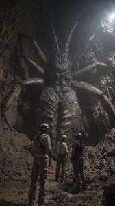 8.9K views · 101 reactions | This Is NIGHTMARE FUEL  Explorers Discover Enormous Unknown Insect Deep in Indonesian Cave System #insect #indonesia #cave #discovery | Most Amazing Top 10 | Facebook