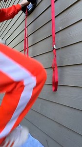 570K views · 5.1K reactions | #vector #illustration #art #vectorart #design #graphicdesign | Vectoor Fans | Facebook