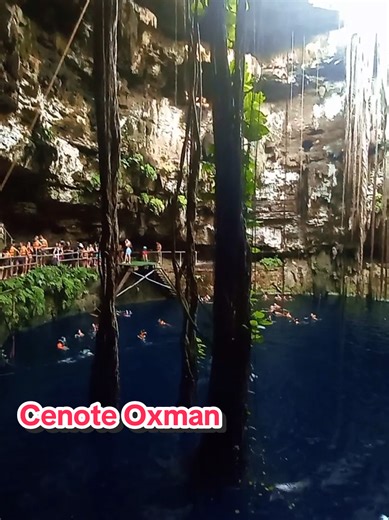 Hacienda Cenote Oxman ✨ Un lugar mágico en Valladolid, Yucatán 🇲🇽 Un cenote de agua cristalina, rodeado de naturaleza, raíces colgantes y mucha historia. Puedes nadar, lanzarte con la cuerda tipo Tarzán y relajarte en una antigua hacienda del siglo XVIII. Perfecto para conectar con la cultura maya, refrescarte y vivir una experiencia única. 🌊🌴 #haciendacenoteoxman #yucatan #mexico #elizathdch