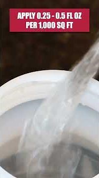 The Short Guide to Spotted Lanternfly Control!