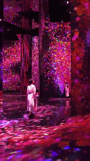 探索teamLab无相艺术空间的奇妙体验