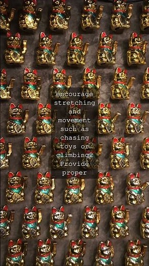 The Feline Anatomy A Closer Look at the Cats BonesAs we all know cats are agile and...