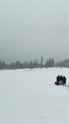 Acum, în Poiana Punga, Soveja. 🥰 Locație: https://maps.app.goo.gl/TBYbTMFGK13YQkXh7 | Fii Informat Umbrărești