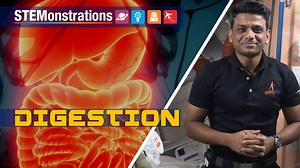STEMonstrations: Digestion - NASA