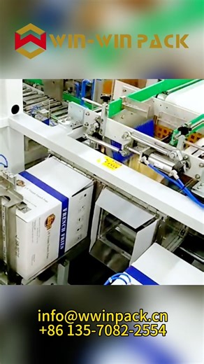 Side-loading case packer with drop loading for noodle bags #casepacker #shorts