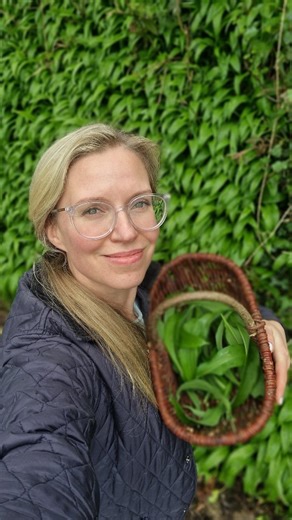 Wild garlic - Allium ursinum. It's an incredibly easy to identify wild food and prolific this time of the year! This is a wall of them growing on our lane, but they're all over the bottom of the garden, too. All you need is a handful of leaves to make a gorgeous pesto (check my Stories today). You can also chop them up and add them to Asian noodle dishes, pasta dishes, salads, and homemade pizza. Though a different plant, wild garlic is similar and related to the ramps that you can forage for in