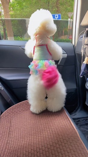 18K views · 678 reactions | Wiggle wiggle | Beautiful World | Facebook