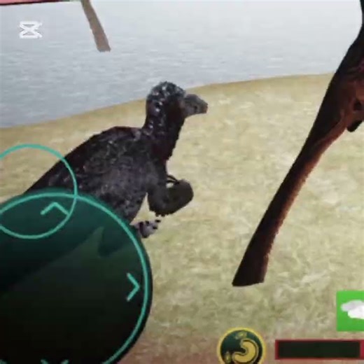 he didn't help me so i executed him.