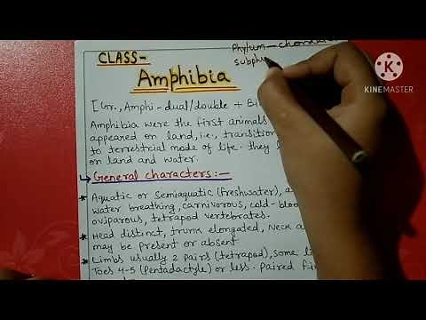 Class Amphibia- Characters and classification