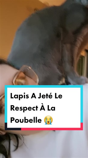 Un Chat Marrant qui Jette le Respect à la Poubelle