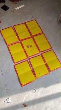 I made a giant mouse glue trap.