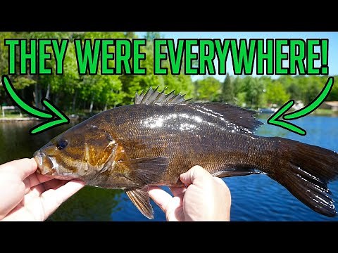 Turtle Flambeau Flowage - One of Wisconsin's BEST Smallmouth Bass Fisheries!