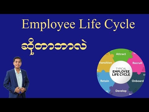 Employee Life Cycle ဆိုတာဘာလဲ