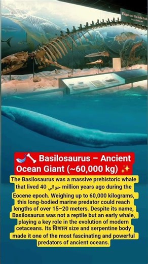 Basilosaurus – 60,000 kg Prehistoric Whale | Ancient Marine Giant