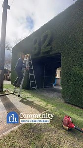 97K views · 170 reactions | @chris_edgestohedges takes hedge trimming to the next level with this one! #diy #topiary #hedgetrimming #yardwork #familyhandyman | Family Handyman | Facebook