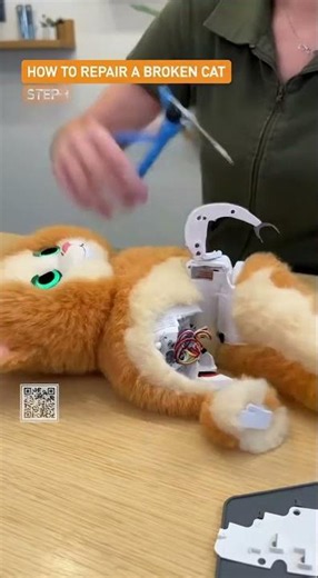 How To Fix A Cat #retro #instructinal #cats #wtf