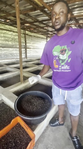 Bempet Organic Farm on Instagram: "You'll need this knowledge so you can also scale your profit level in farming"