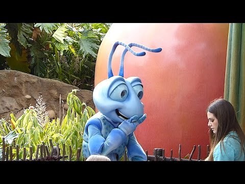 Flik Meet and Greet at Disney California Adventure - Disneyland - A Bugs Life