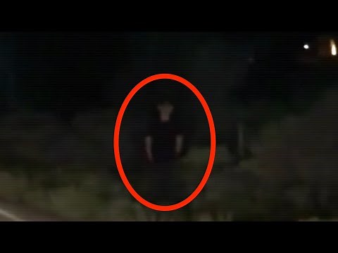 Top 15 Scary Trucker Dashcam Videos