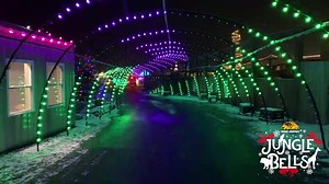 We're less than TWO WEEKS away from our only Jungle Bells: Drive Thru Event of the season! On Wednesday December 21st, experience the magic of Jungle Bells from the comfort of your own vehicle! Ideal for guests who are unable to join us for a standard walk thru visit, drive thru guests will enjoy many of our light displays on a mile long route though the park! Admission is just $20 per car, cash only due to infrastructure! | Animal Adventure Park