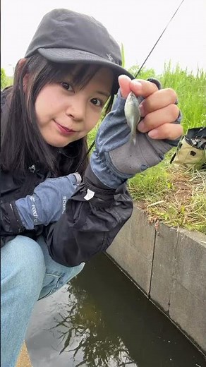 のんびりタナゴ釣り🍃