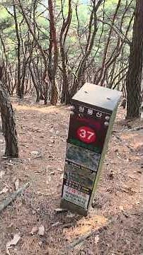 20260211 대구수목원 에서 마비정마을 가는길, 난 코스