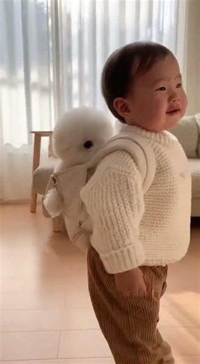 Toddler and Fluffy Bichon Puppy’s Synchronized Howl—The Cutest Duet Ever 🐶👶 #puppy #baby