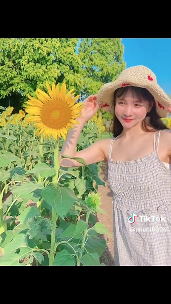 また来年も🌻見にきたいな #シーブリーズ #リラックマグランプリ #ひまわり #兵庫