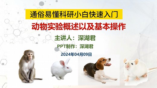 科研小白快速入门之动物实验基础操作概况